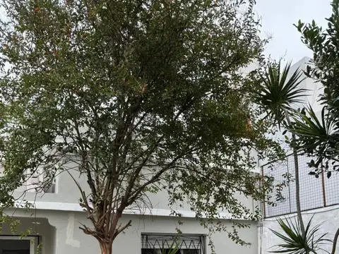 Sarratea 3342