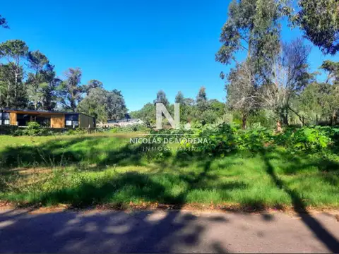 Vende terreno en Golf, Punta del Este.