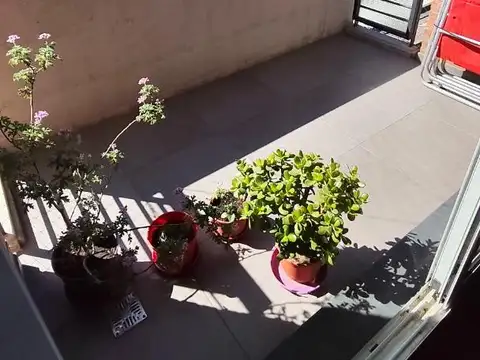 Maipú 2000, Piso 6°