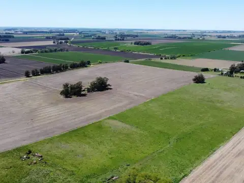 Venta Chacra el Solcito 13 has Tandil