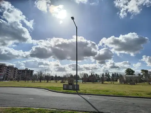 Picaflor "Los Pasos del Jockey"