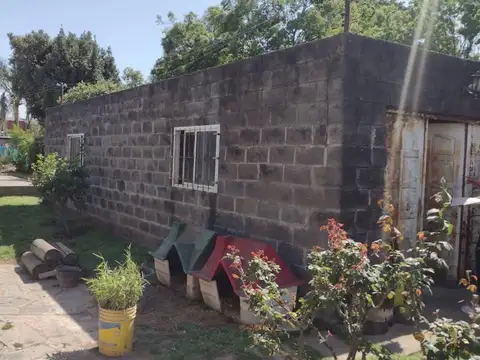 VENTA LOCAL con 2 CASAS sobre Ruta Provincial 25, Matheu