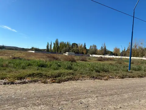 Terreno en Venta de 250,0 m2