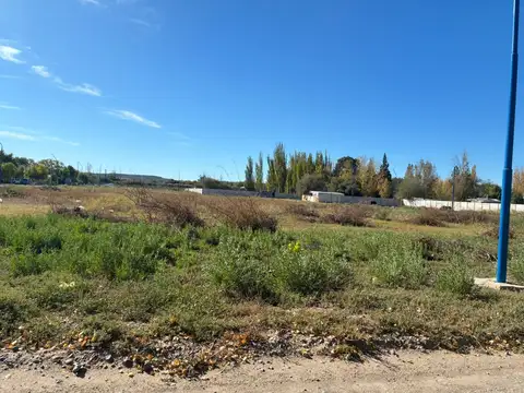 Terreno en Venta de 250,0 m2