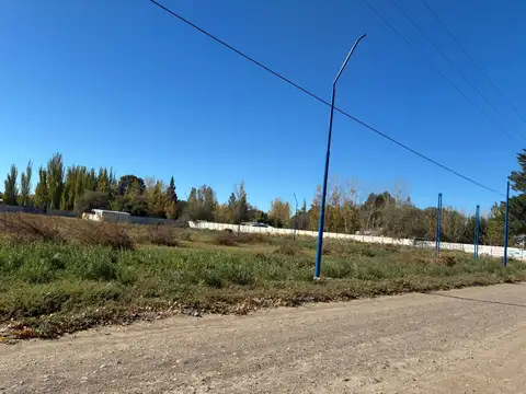 Terreno en Venta en General Roca, USD 11.000
