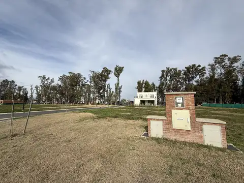 Panamericana