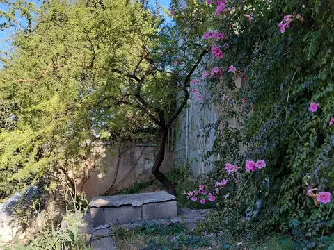 CERRO INCHIGUASTE 100