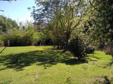 Rio / Arroyo Gelvez 400