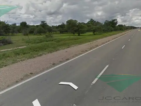 Ruta 81