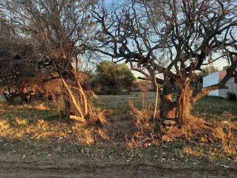 TERRENO EN SAUCE VIEJO A 100 MTS DE LA RUTA 11