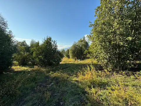 Terreno en Venta de 791,0 m2