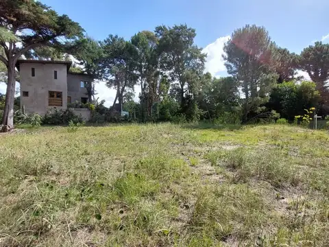 Calle 313 y Alameda 320