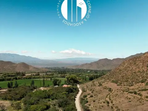 Finca agrícola y Hotel en Cachi