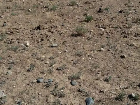 Lotes para tu cabaña de fin de Semana en Tupungato