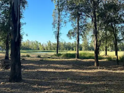 VENTA LOTE 1155 m2, CAMPO TIMBÓ, OLIVEROS
