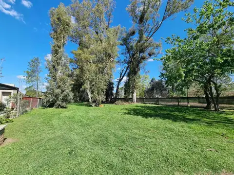 Venta Lote El Aromo arbolado OPORTUNIDAD 