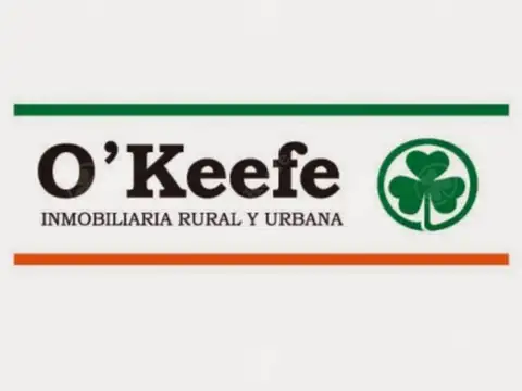 Galpon en Venta 44  m frente