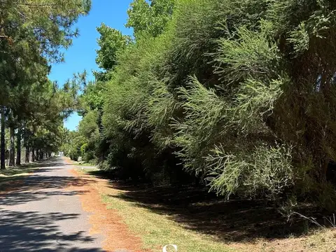 TERRENO EN VENTA 1050 M2, LOS CARDALES COUNTRY CLUB