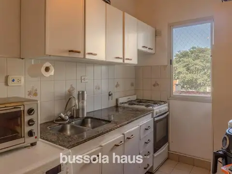 Campichuelo 600
