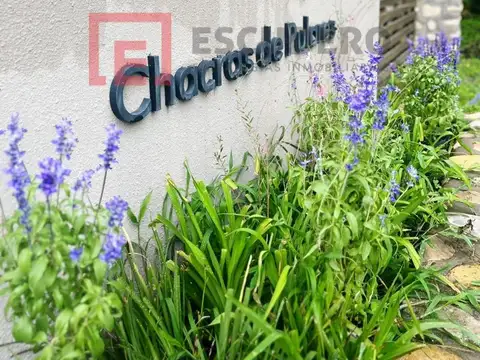 CHACRAS DE PULARES, Chicoana, Salta, Argentina. 100