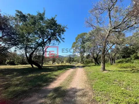 CHACRAS DE PULARES, Chicoana, Salta, Argentina. 100