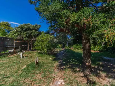 Terreno en Venta en Punta Gorda, USD 425.000