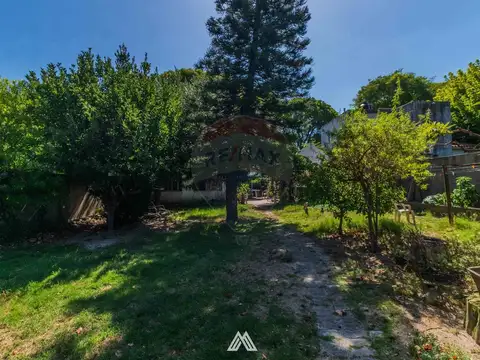 Terreno en Venta en Punta Gorda, USD 425.000
