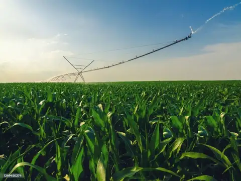 VENTA LLAVE EN MANO - 639 hectáreas suelo I en zona Murphy, Santa Fe