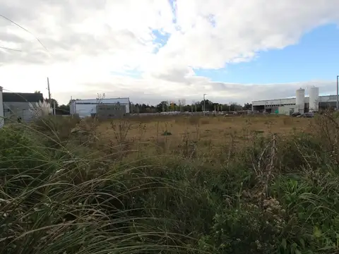 PARQUE INDUSTRIAL MORENO 100