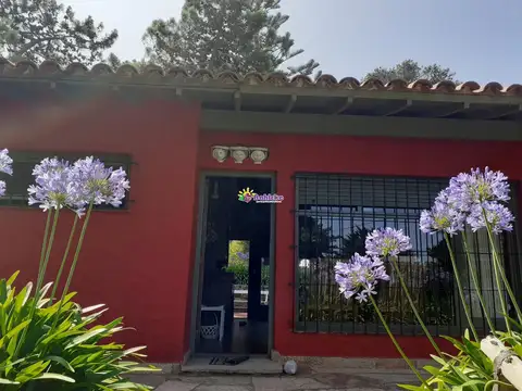 Calle 205 600