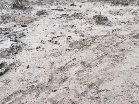 Terreno en Venta en Santiago Del Estero, USD 95.000