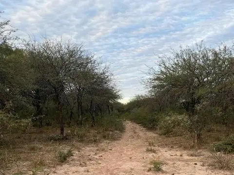 Terreno en Venta en Santiago del Estero, USD 95.000