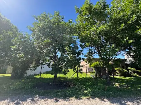 CALLE 52 ENTRE 35 Y 37