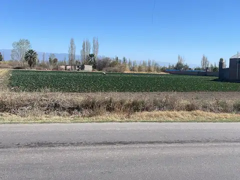 Cocucci vende Terreno en  Kilometro 8