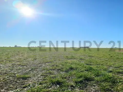 Campo en Venta de 0,18  ha