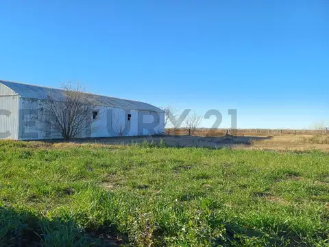 Campo en Venta de 0,18  ha