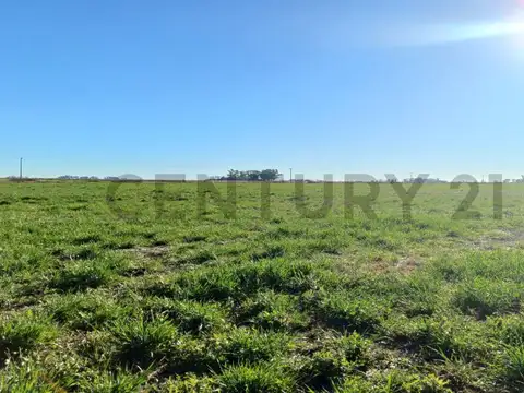Campo Mixto en Cañada de Los Leones