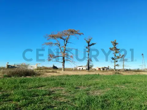 Campo Mixto en Cañada de Los Leones