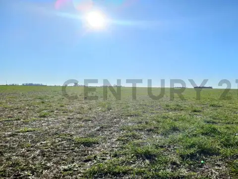 Campo Mixto en Cañada de Los Leones