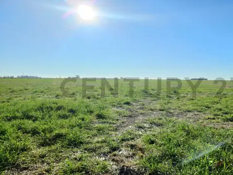 Campo Mixto en Cañada de Los Leones
