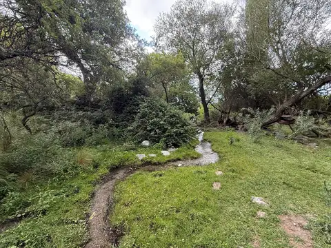 Terreno en Venta 236  mts Frente