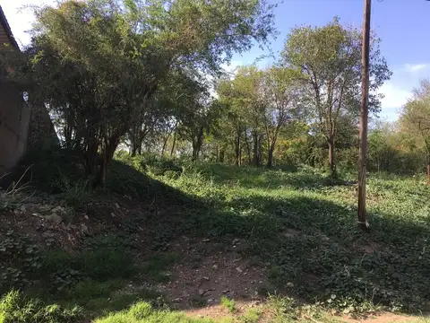 Alzaga 733