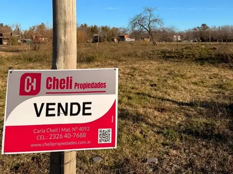 LOTE EN BARRIO AMESPIL 