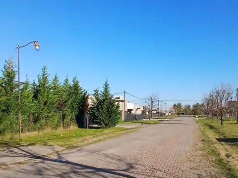 LAS TARDES ROLDAN  Cul De Sac 4 2400