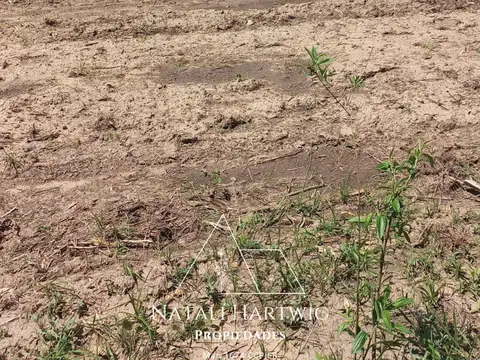 Campo en Venta de 50  ha