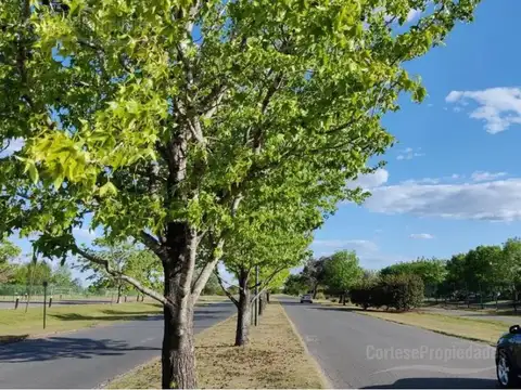 Terreno en Venta en Pilar del Este - Santa Emilia, USD 29.500