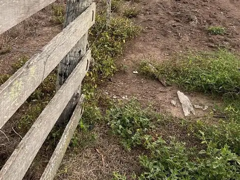 EXCELENTE FRACCION DE CAMPO - 34.5 HECTAREAS - ARRECIFES - BUENOS AIRES