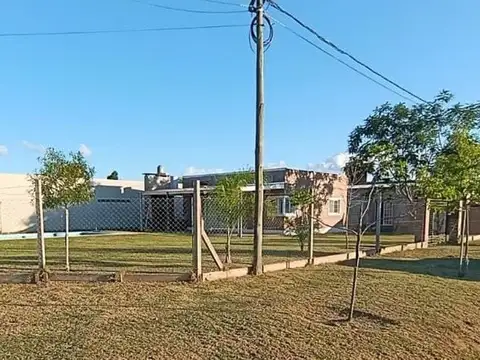 Los Citricos y Las Lechuzas 100