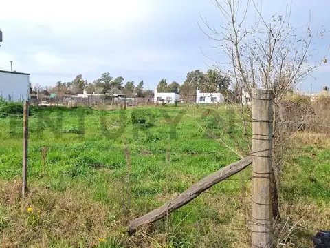 Terreno en Venta 59  mts Fondo