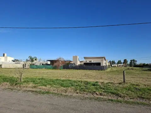 Rafaga  291